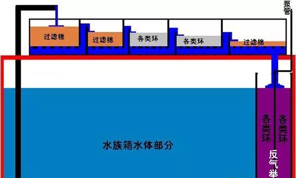 「收藏」鱼缸滤材摆放和使用指南