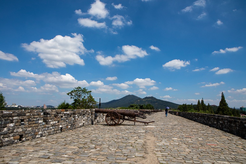 南京城墙摄影大赛作品|《夏日台城》