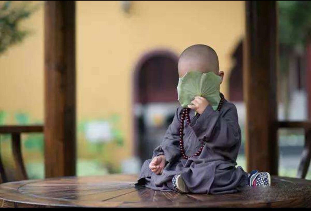 南山小和尚与北山小和尚(看完顿悟)