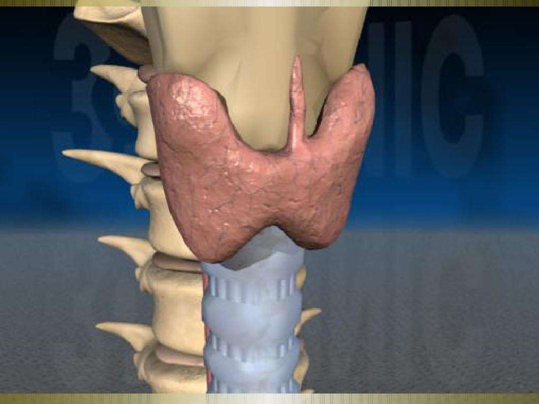 甲状腺行超声造影时的注意事项有哪些?