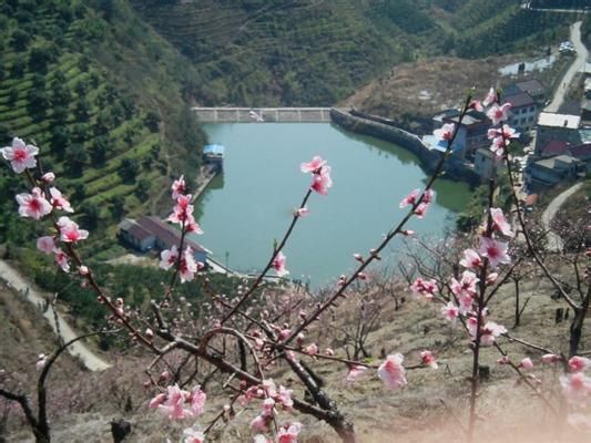 空气很清新的含晖洞,地方很好的九坑桃花源.