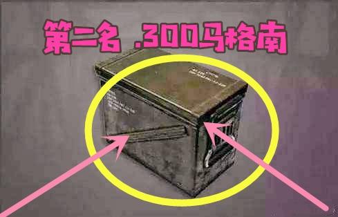 300马格南子弹这个很稀有
