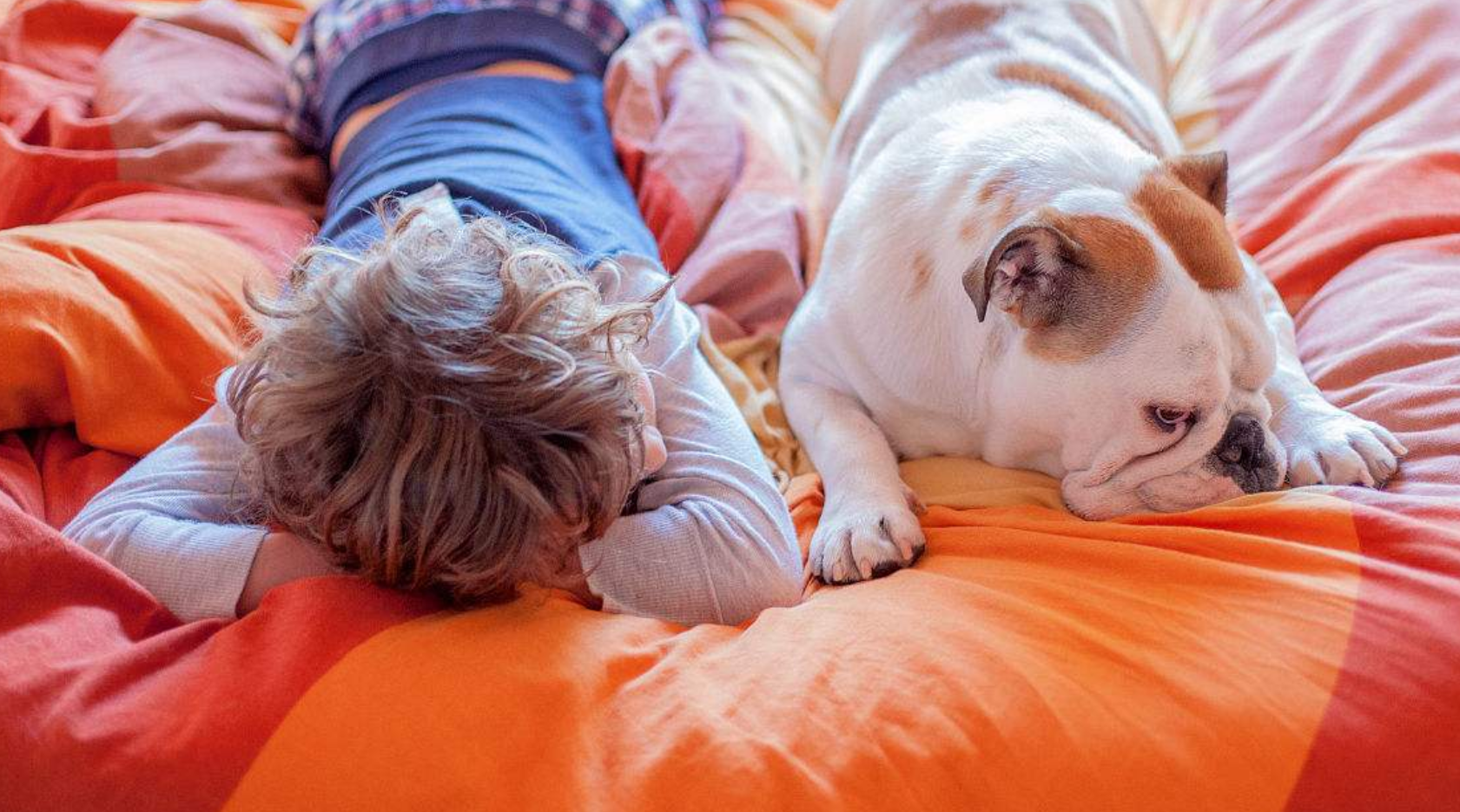为什么不建议主人和狗狗一起睡觉?一起来看看都有哪些原因吧!