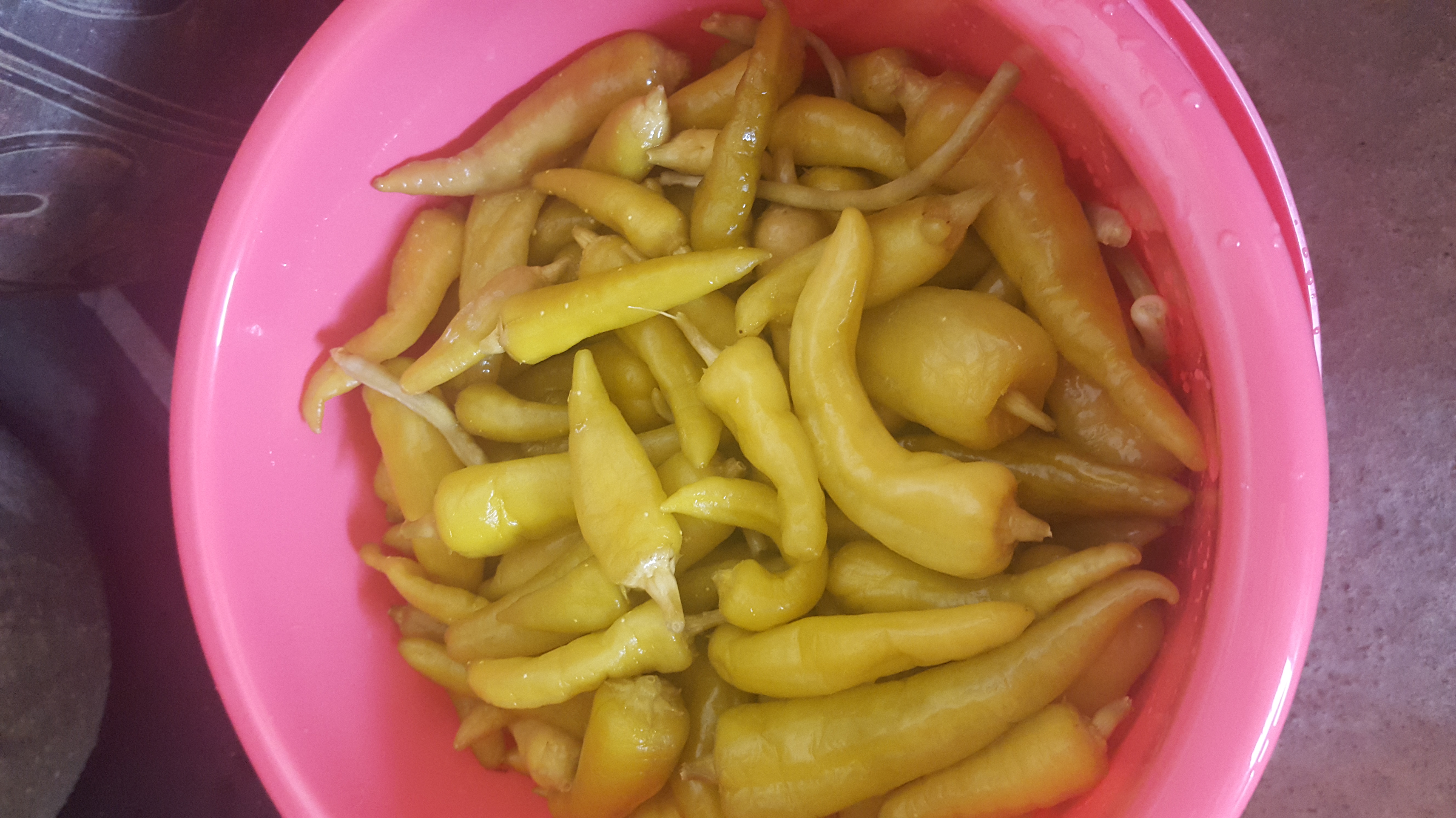 泡辣椒这种吃法的见过吗?不用一点配料,一口一个