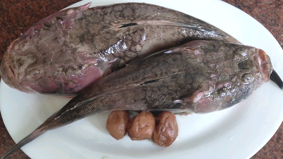 铜锣锤,潮汕人用来煮酸梅,鱼肉鲜美,无腥味
