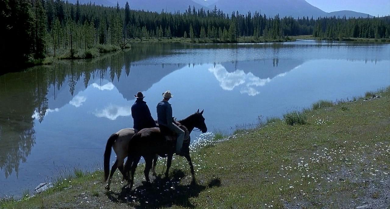 电影《断背山》里的构图与光影