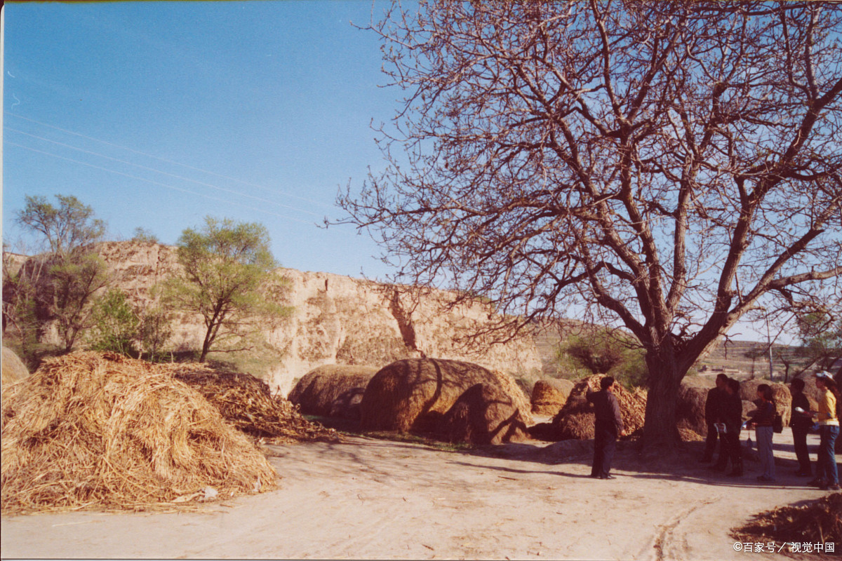 (原创散文)回忆童年70年代北方农村的打麦场上