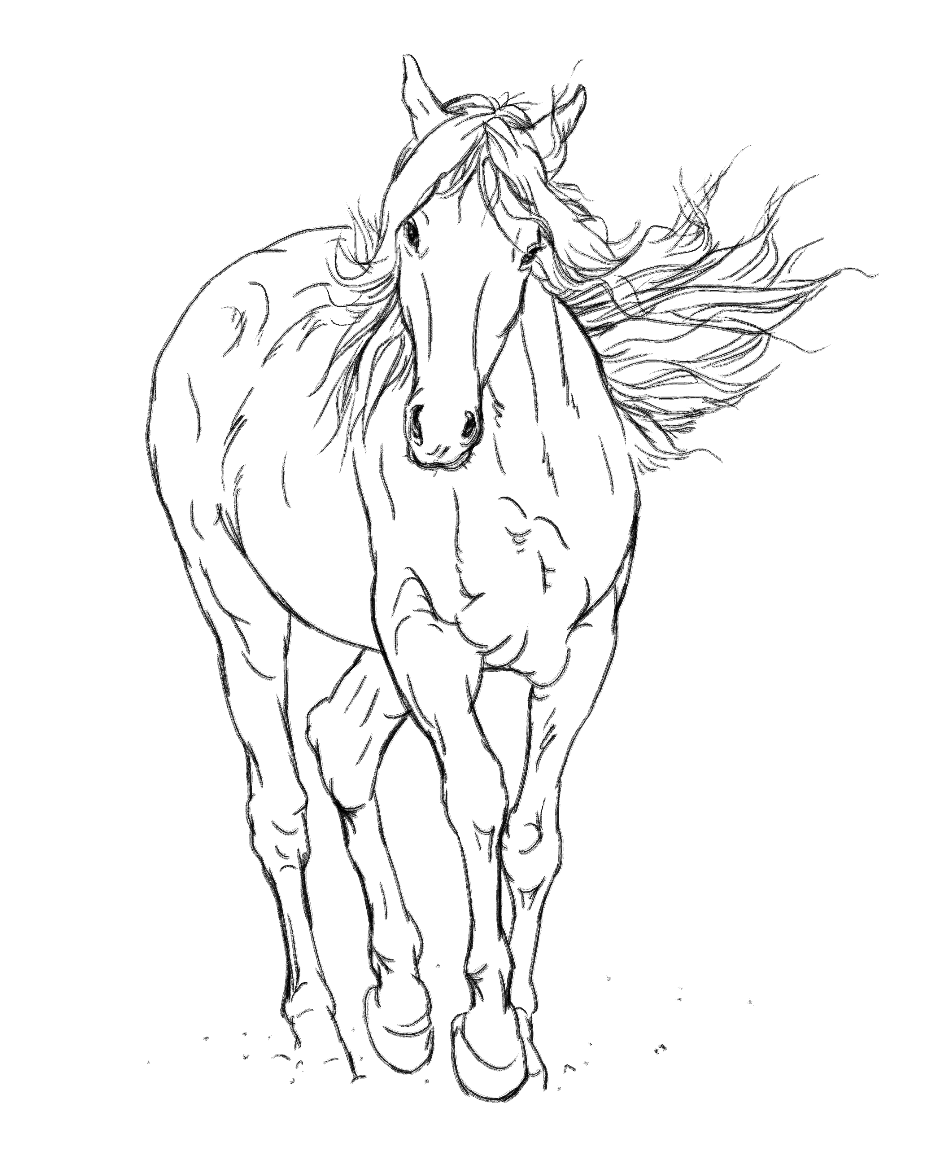 线描的马,工笔画参考资料(5)