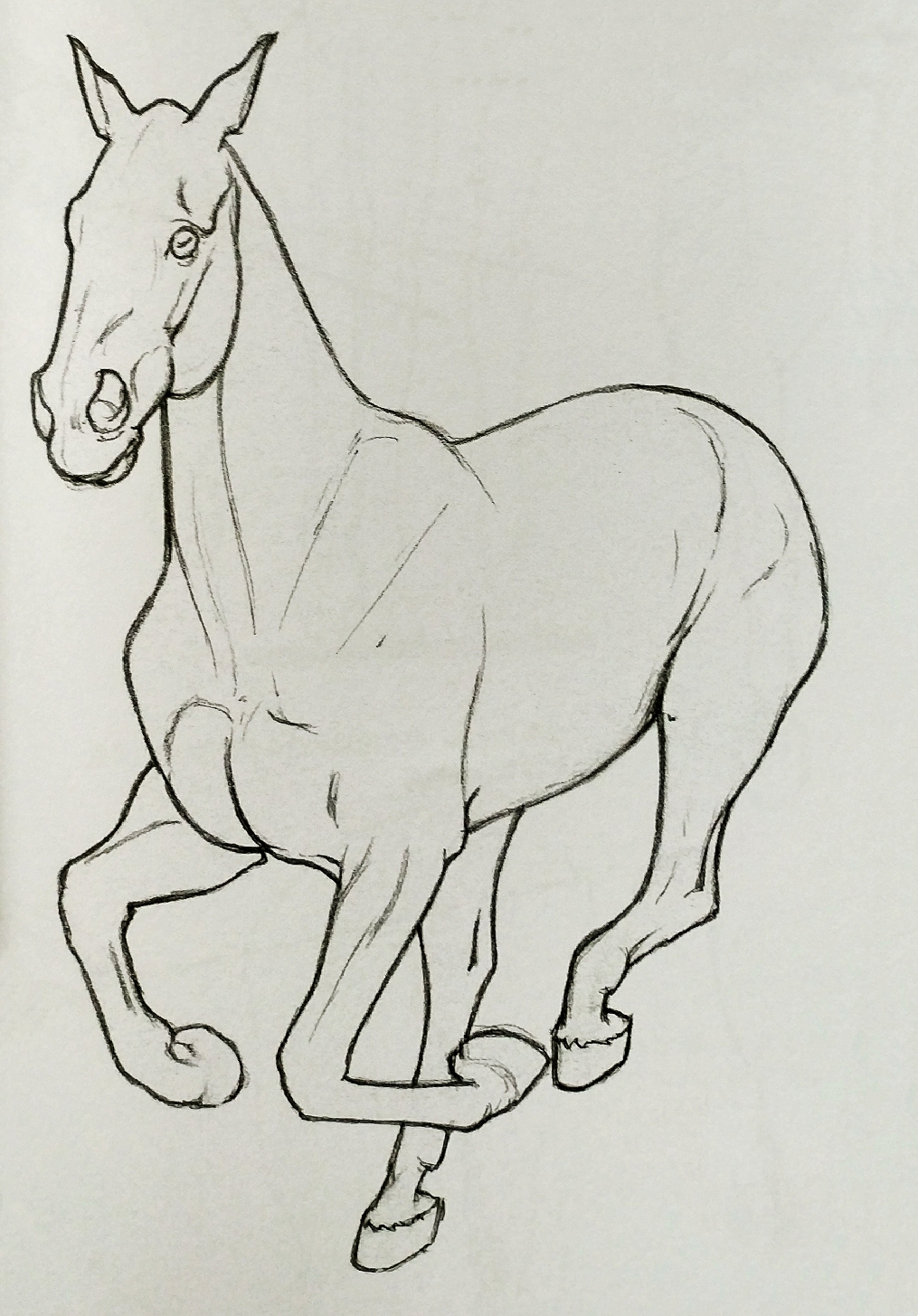 怎么画马有名图片