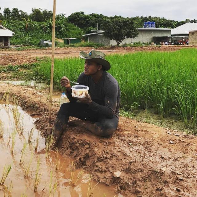 最低调的泰拳王播求!身价过亿,却依然下田插秧甘愿当农民