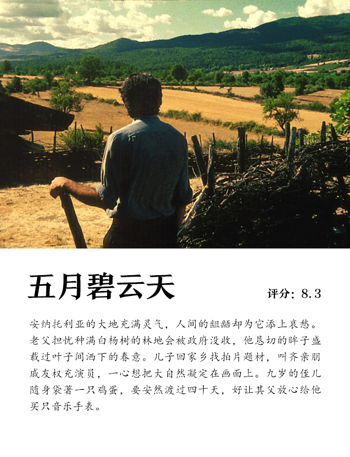 电影了没 | 9部好片帮你对抗孤独