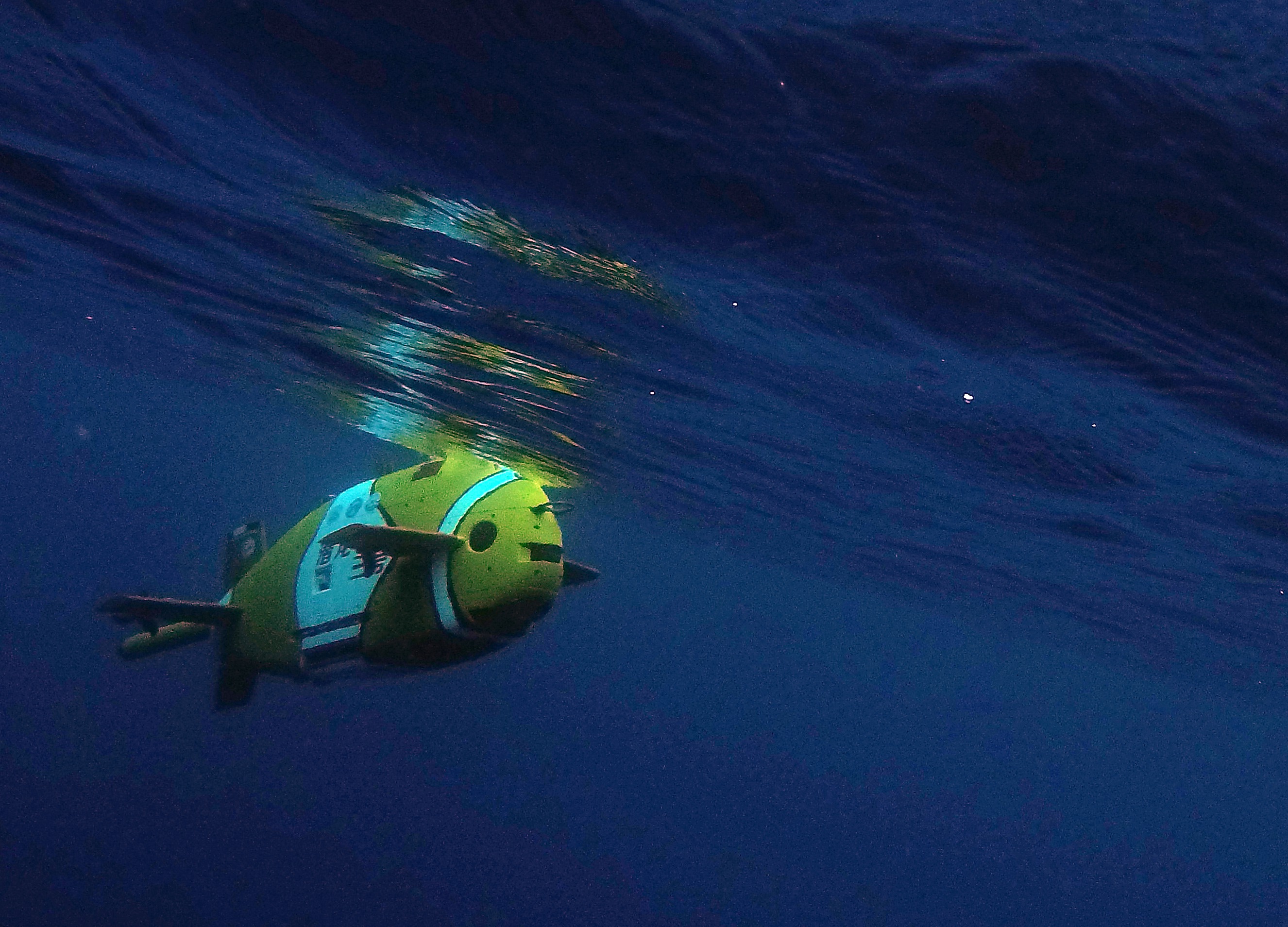 "潜龙三号"试验性应用首潜归来 带回了哪些深海秘密(3)