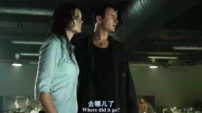 功夫巨星李连杰,曾经亲历海啸,死里逃生,由此开