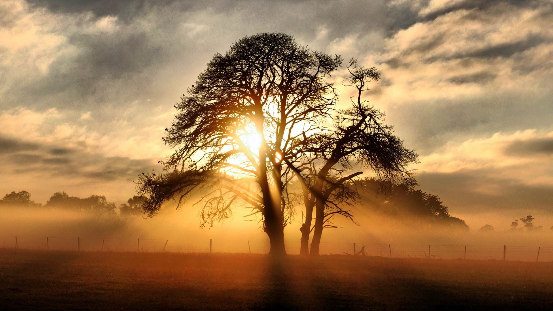 最新朋友圈简短霸气的正能量句子,句句经典激励人心