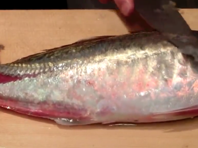 元鱼- 优质问答专区