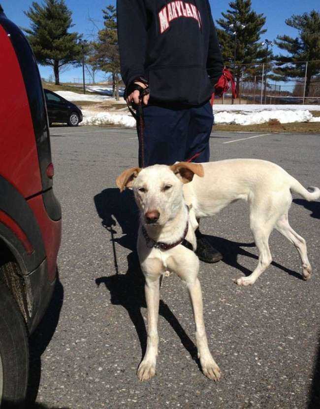 十张视错觉照片,带给你一场华丽的视觉盛宴,看完之后绝对不后悔