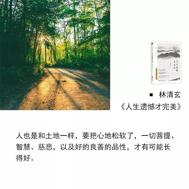 回顾林清玄先生的经典语句,再体会一次他文字中的淡然和思索