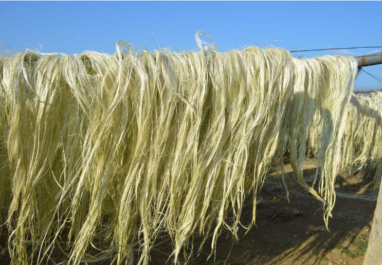 麻类纤维的优势性能