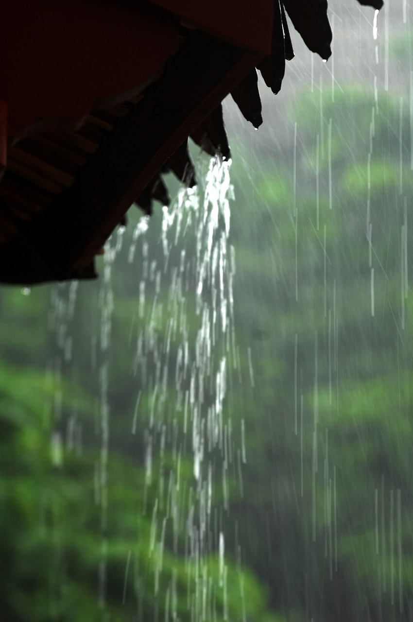 杨万里生平游迹很广,他的诗中,写山水的很多;他又特别喜欢雨景,所以写