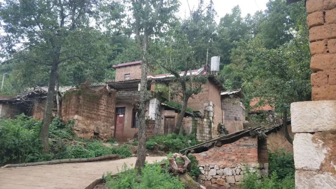 海岱镇水坪村委会华竹箐村百科