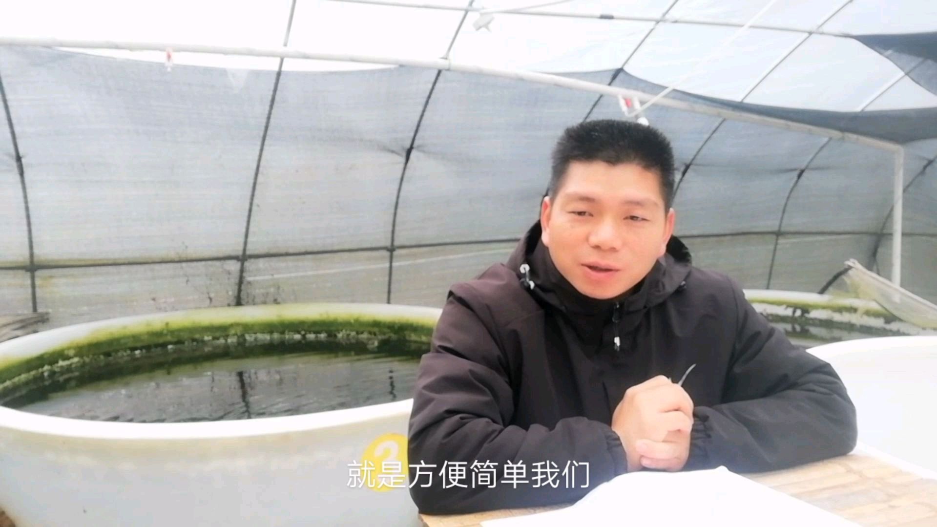 生态农业鱼菜共生里的种植床是怎么做的看这篇一一解答