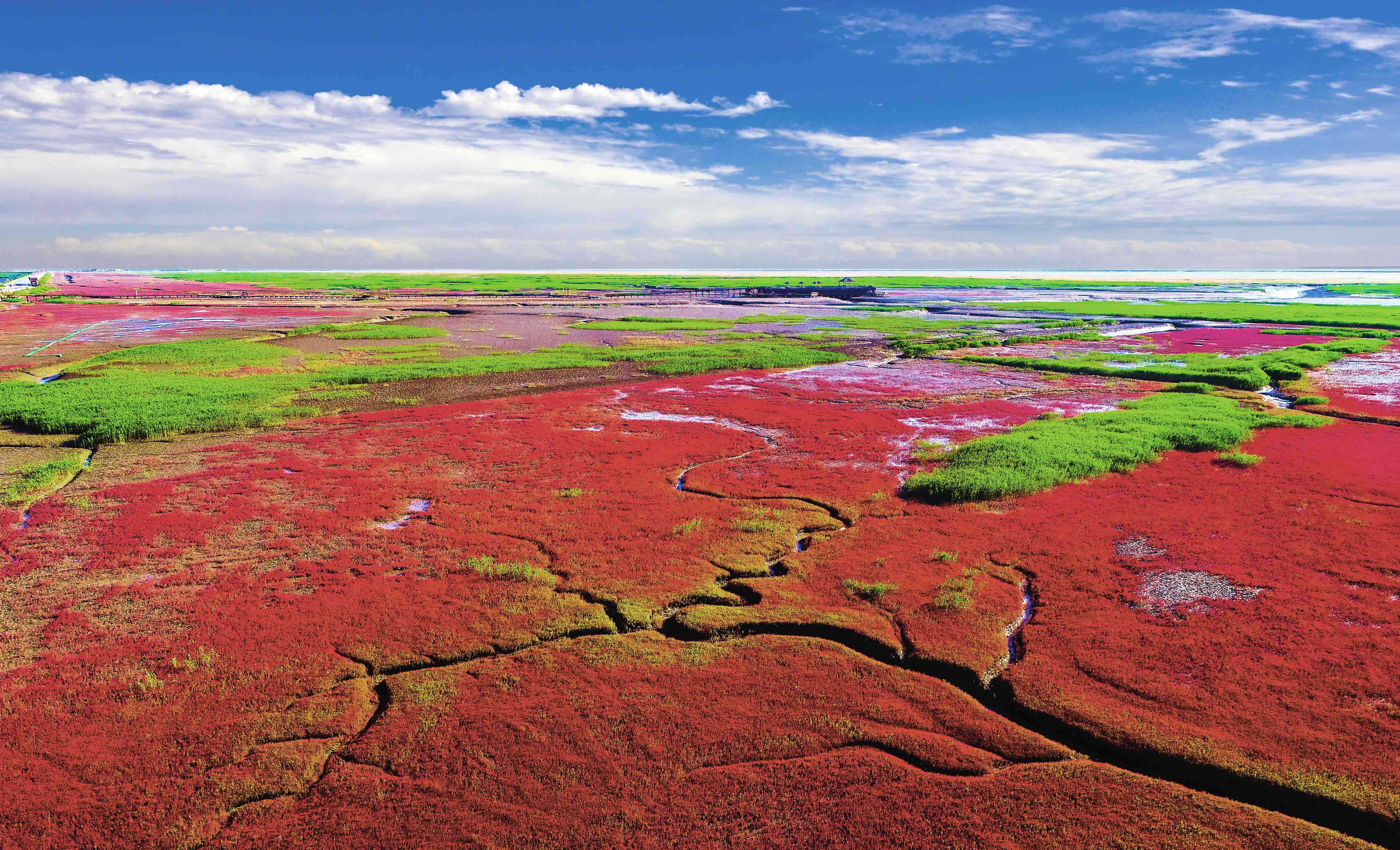 生态中国·天辽地宁红滩舞(18)