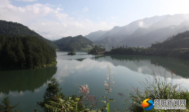 隆回魏源湖国家湿地公园惊现中华秋沙鸭