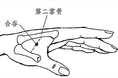合谷穴,就在我们常说的虎口位置,它是手阳明大肠经的原穴,具有镇痛