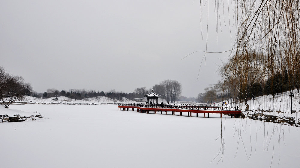 圆明园人造雪景图片