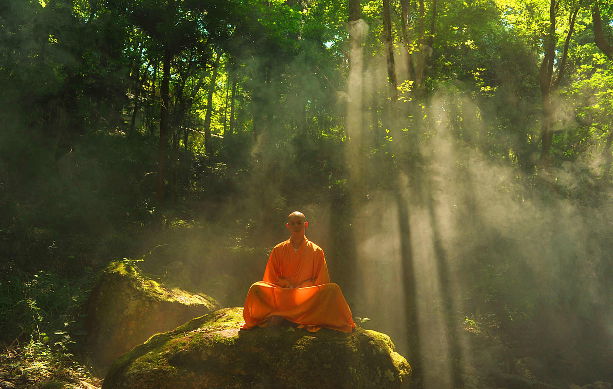 弘一法师说:如果有人利用你的柔软攻击你,利用你的