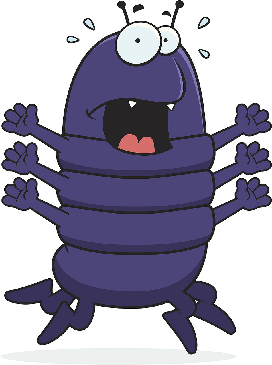 成都升温千足虫满街爬.