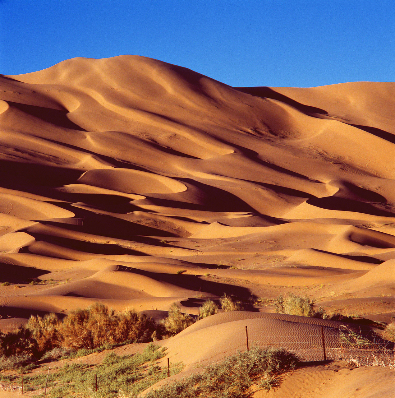 巴丹吉林沙漠,位于中国内蒙古西部,是中国最美的沙漠之一.