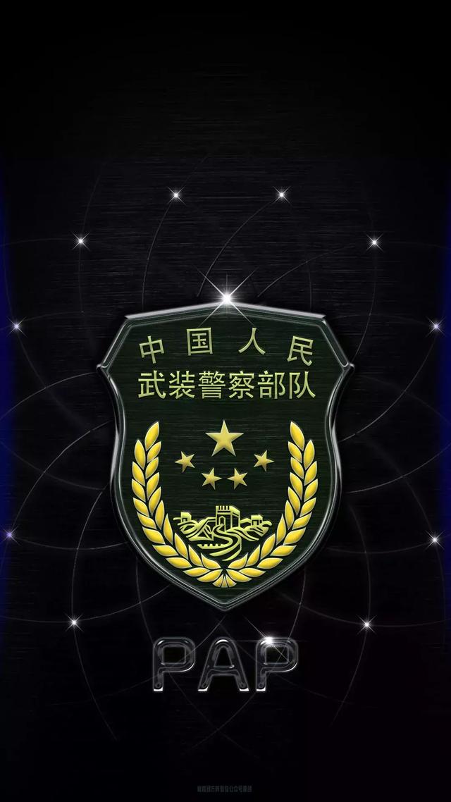 我们是中国武警!关键时刻看他们的