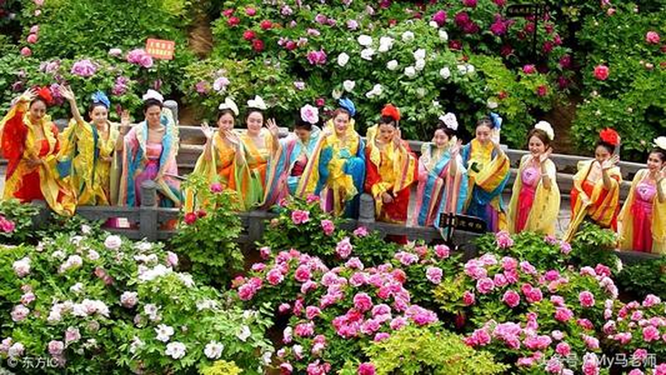 洛阳牡丹花会,2019洛阳牡丹花会时间:4月5日-5月5日(阳历).