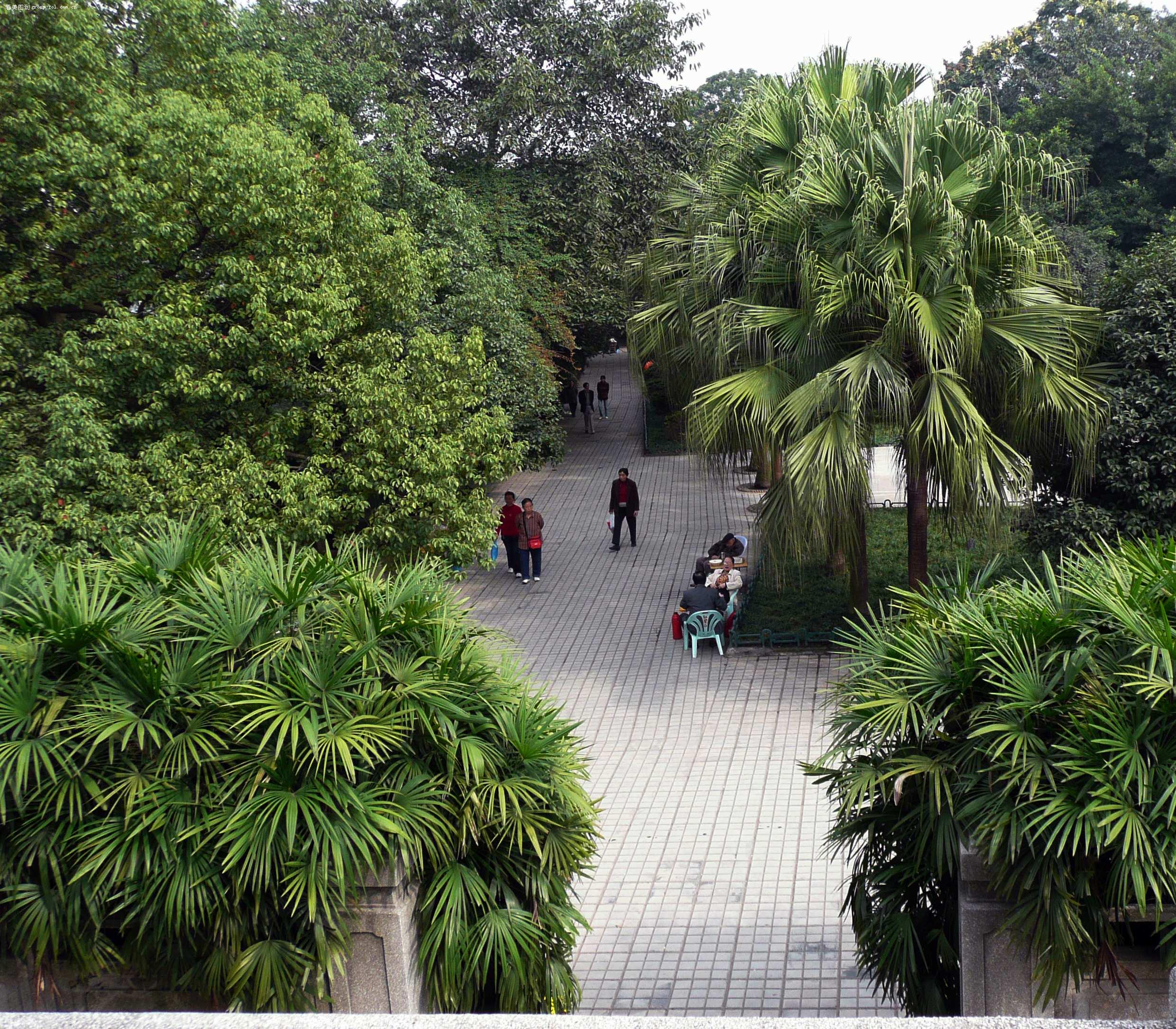 1 重庆市·枇杷山公园