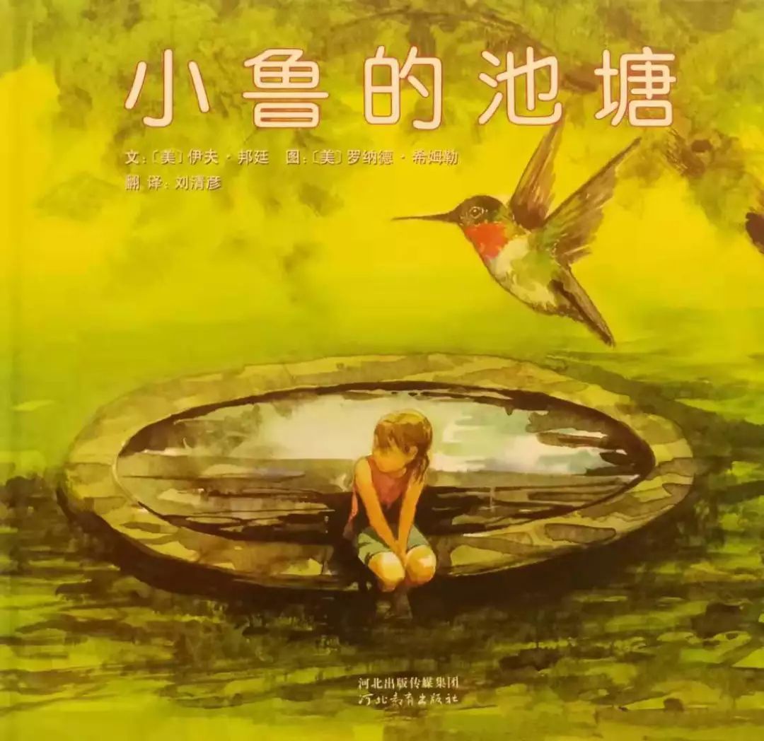 晚安故事--小鲁的池塘