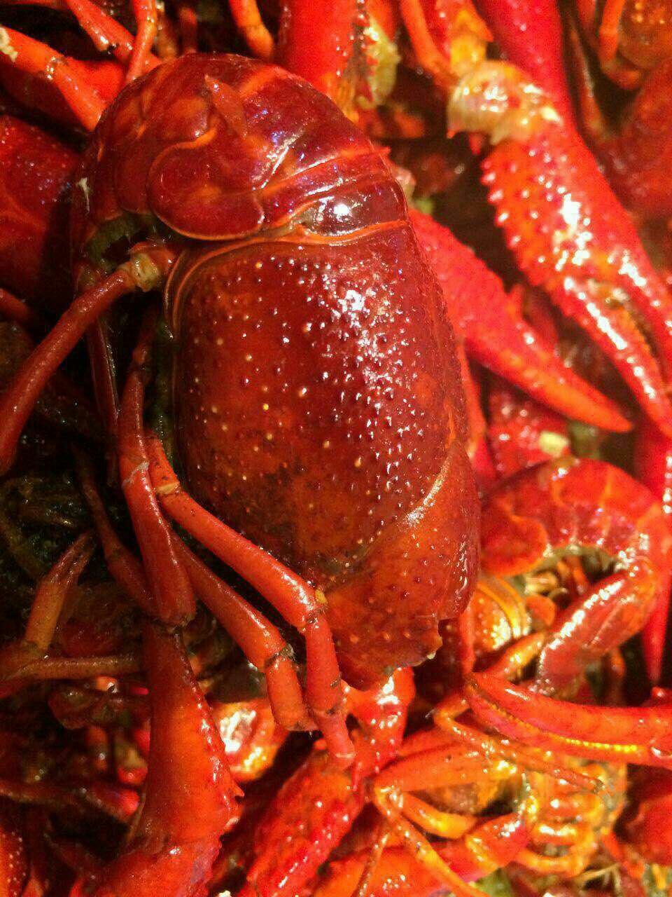 美味小龙虾的特色吃法