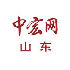 中宏网山东