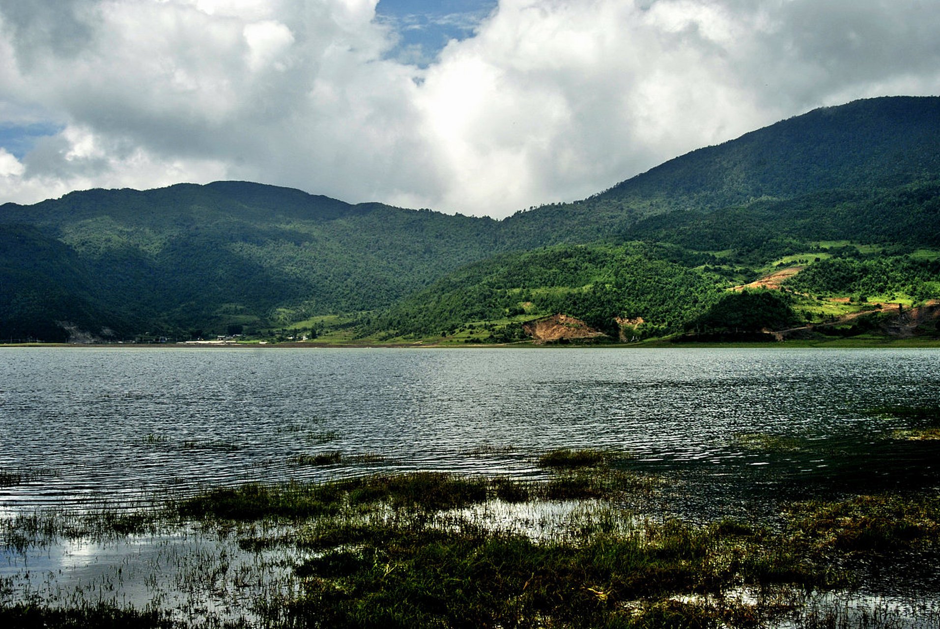 位于中国云南省丽江市的文海,是丽江的一颗明珠,坐落在壮丽的雪山脚下