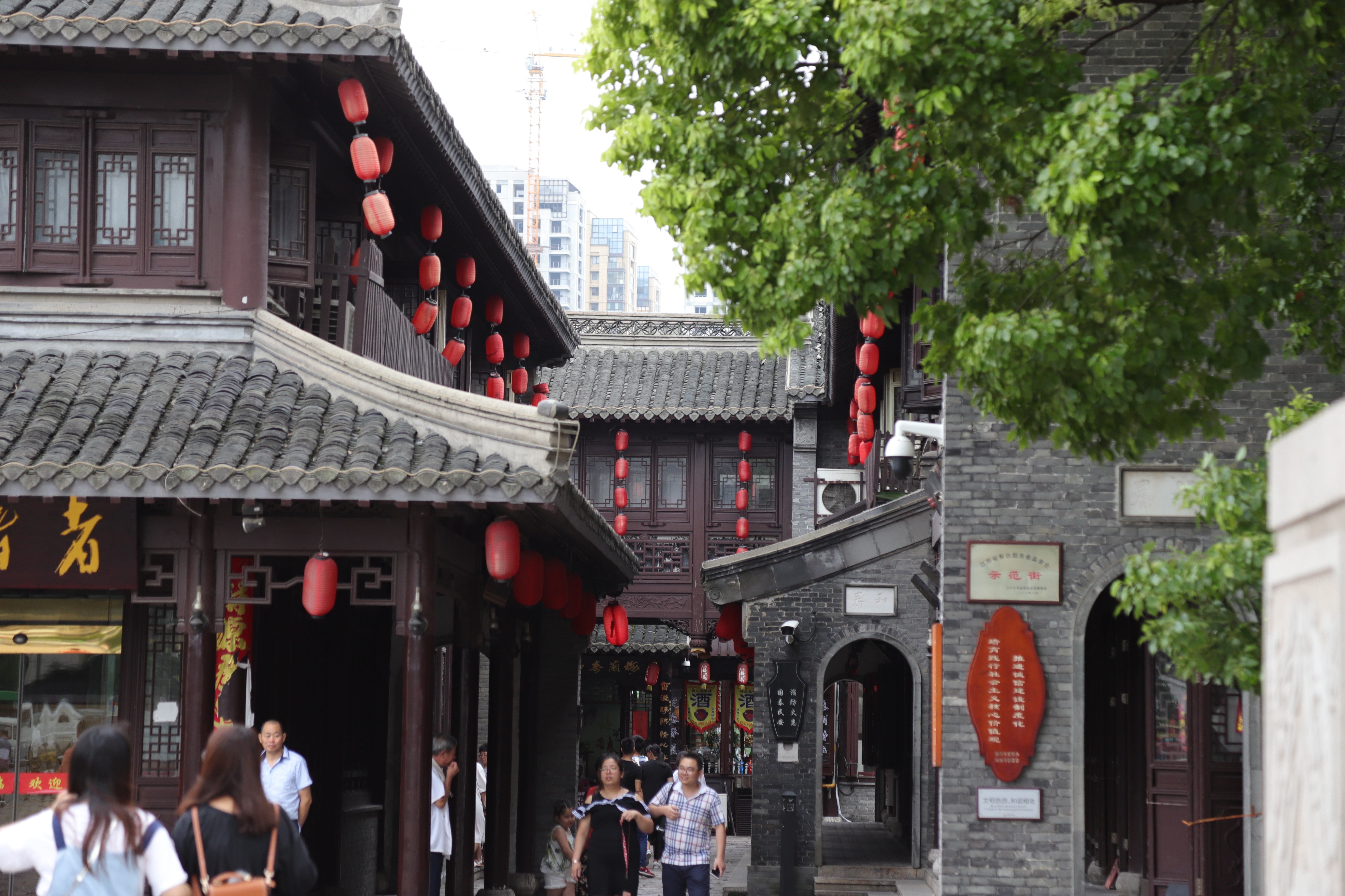 泰州老街风采摄影:一点都不拥挤,夜景会更好看