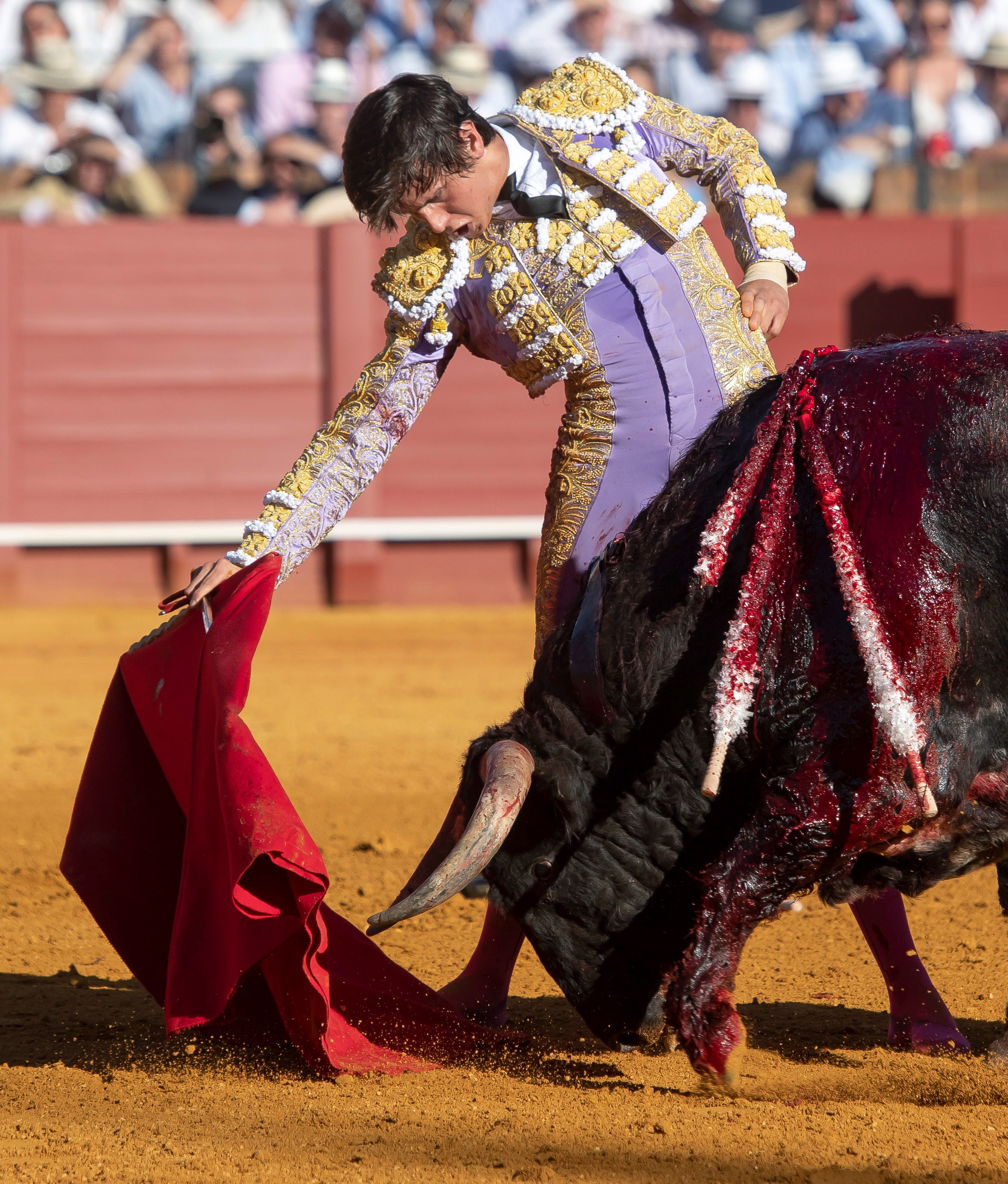 西班牙:"四月节"活动的斗牛表演