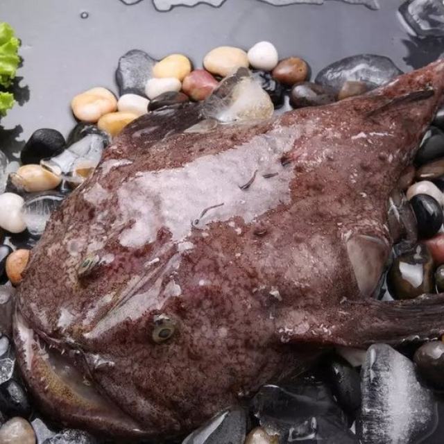 丑鱼炖豆腐,小时候常吃,如今也忘不掉的鲜美味道