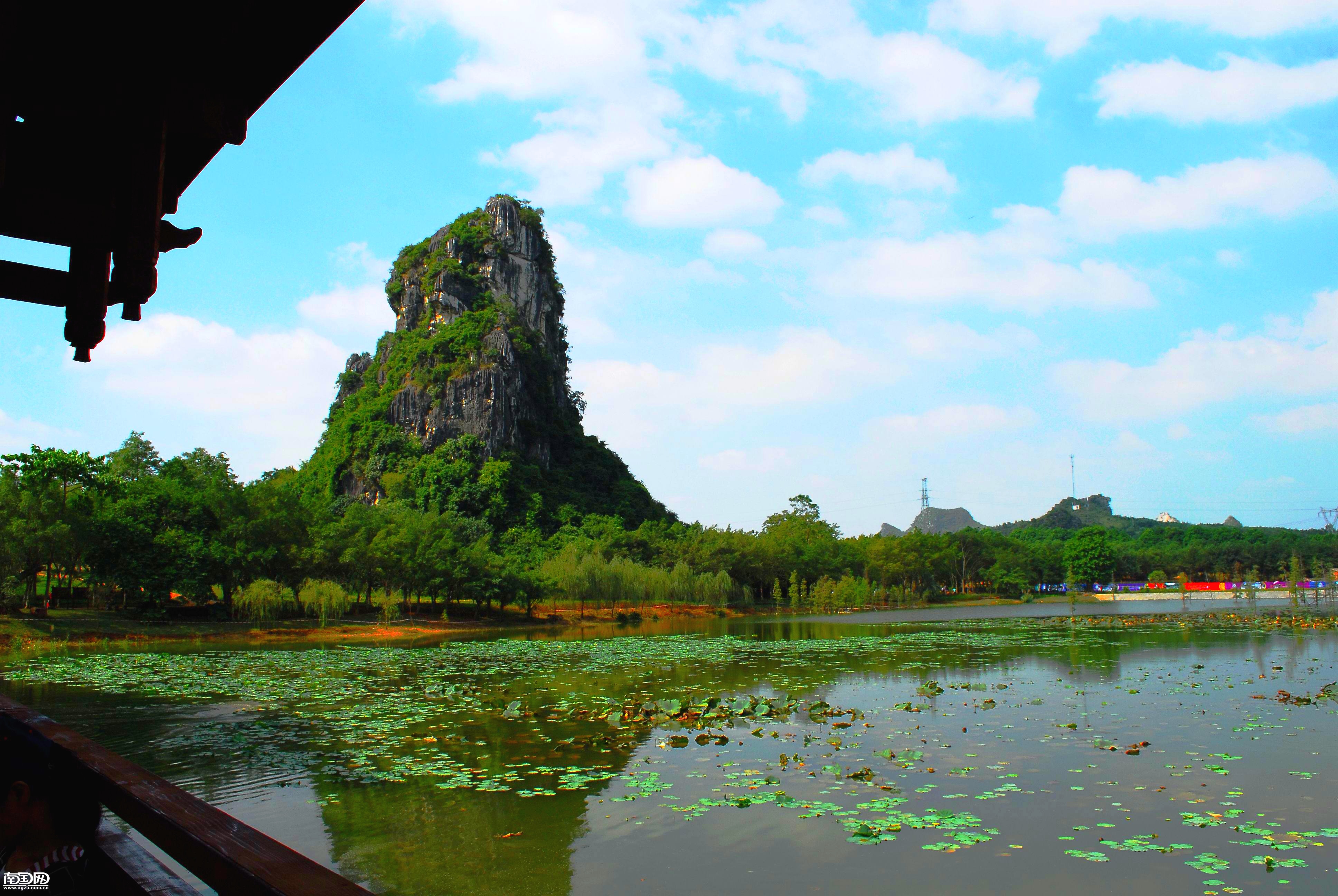 南宁花花大世界,走进花的世界,鸟语花香惹人醉