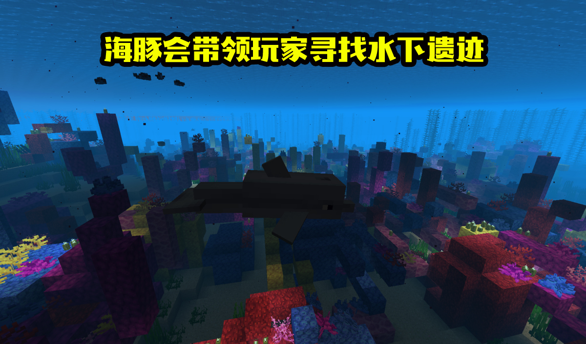 《我的世界》海洋版本"海豚"的九大特性,除了寻宝,也会淹死?