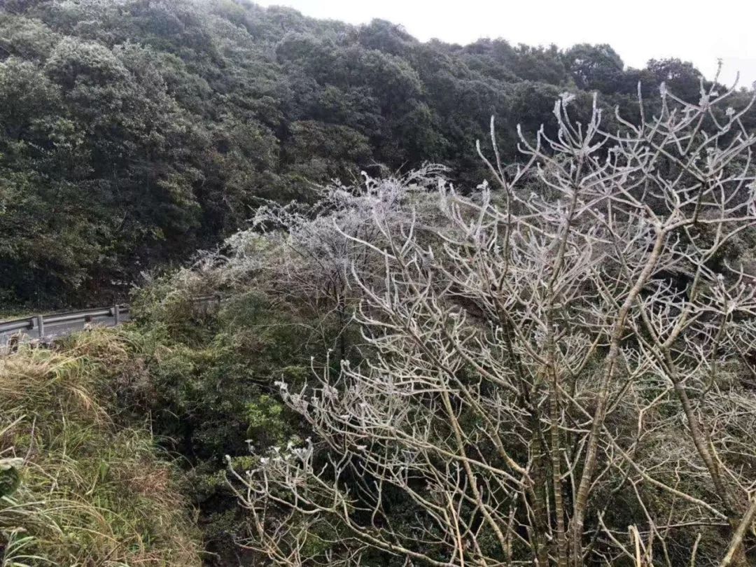 「多圖」大明山霧凇太美了!阻止你行程不是嚴寒,是門票