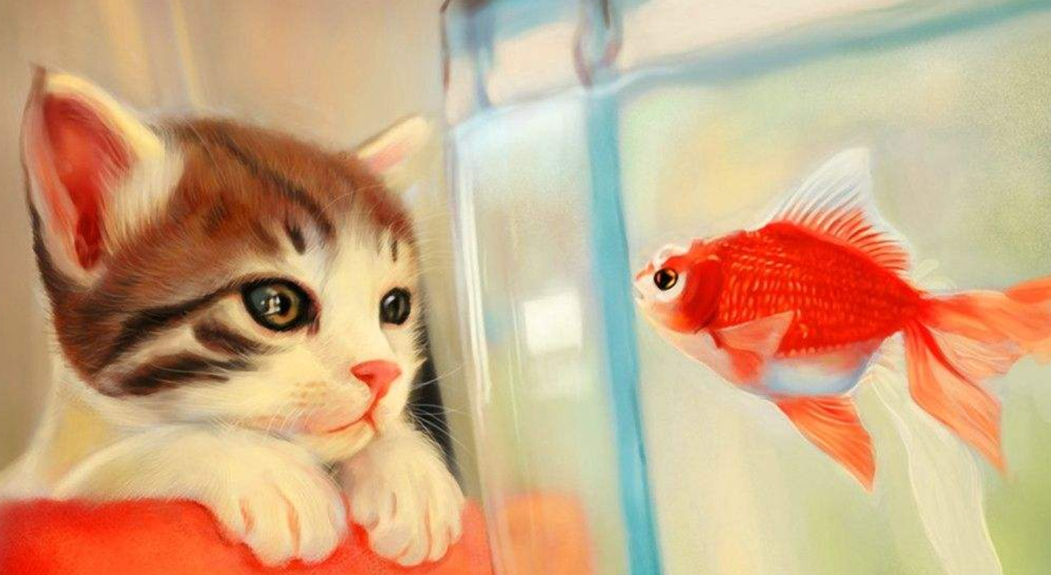 所以一般很少给猫吃鱼,偶尔吃上一次,那都是过节,或者是家里来人的