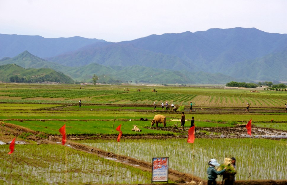 朝鲜视觉:实拍朝鲜百姓的精神风貌!