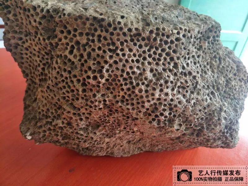 艺人行传媒:石头上"长满"蜂眼,宋先生亿万年蜂窝化石诚意出手