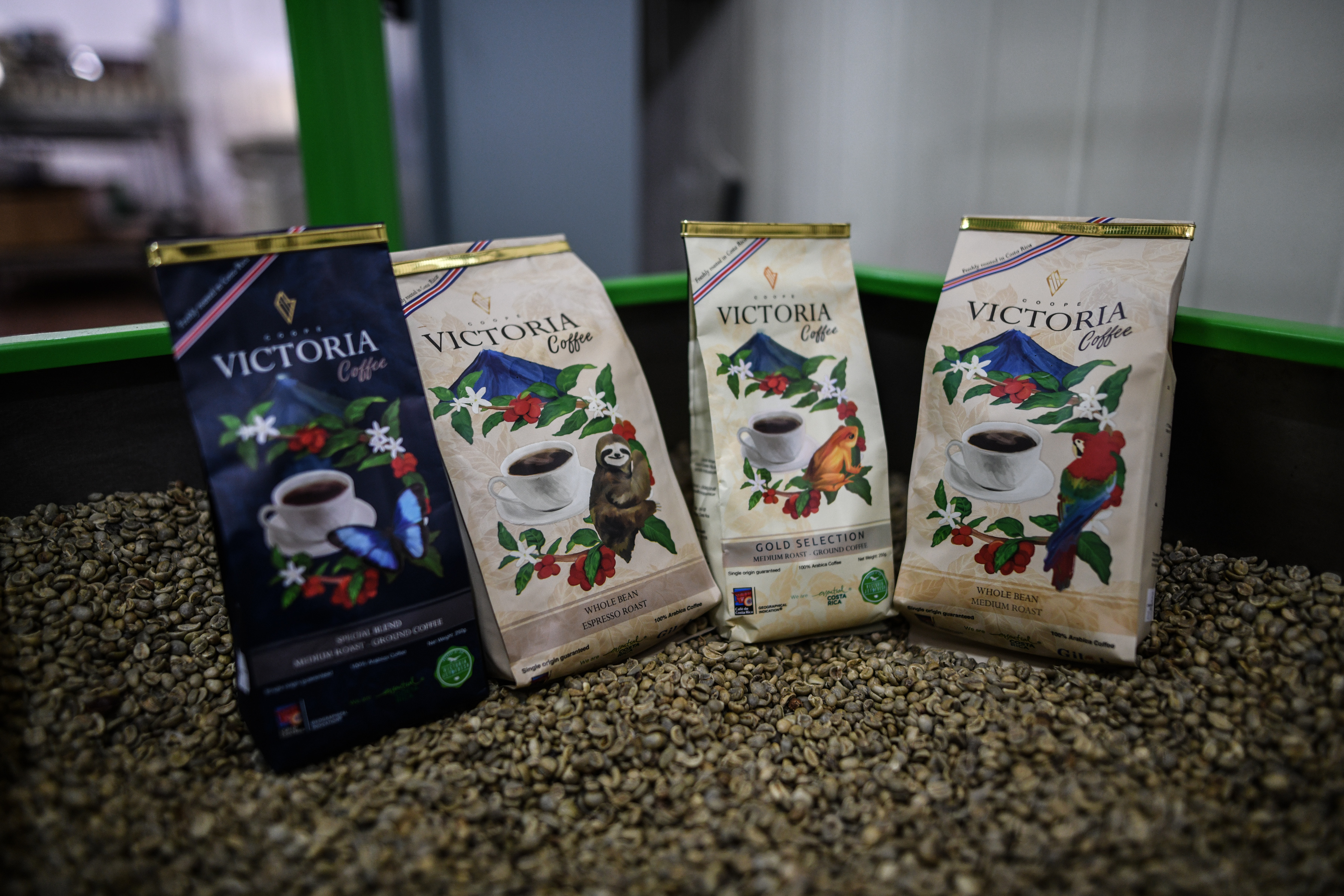 哥斯达黎加——中美洲的"咖啡王国"(2)