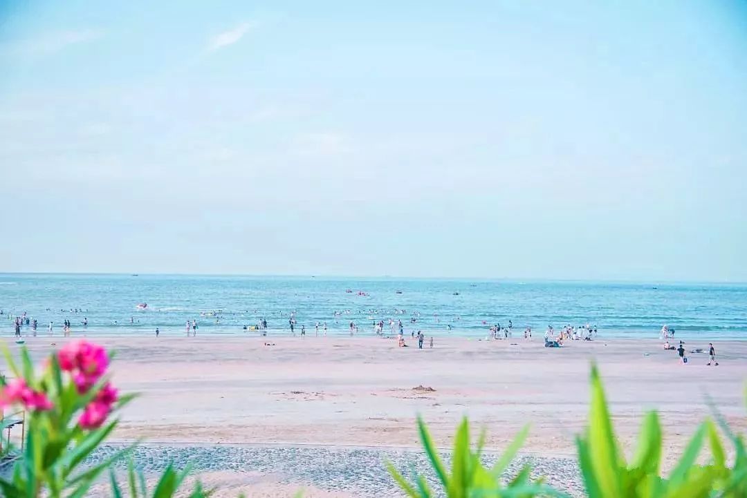 这才是夏天该有的样子!浙江9个梦幻沙滩终于到了最美的季节!